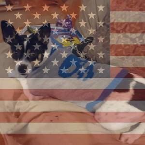 Meet your Posher, Roseanne